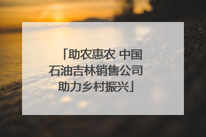 助农惠农 中国石油吉林销售公司助力乡村振兴