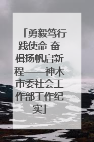 勇毅笃行践使命 奋楫扬帆启新程——神木市委社会工作部工作纪实