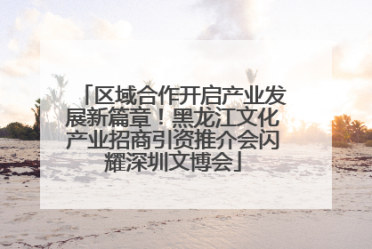 区域合作开启产业发展新篇章！黑龙江文化产业招商引资推介会闪耀深圳文博会
