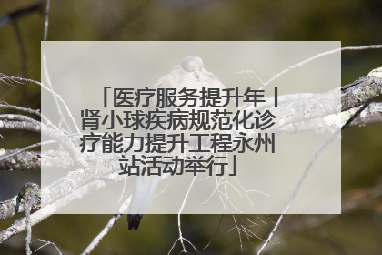 医疗服务提升年丨肾小球疾病规范化诊疗能力提升工程永州站活动举行