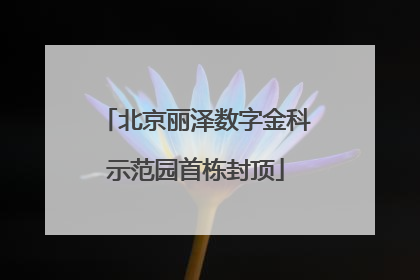 北京丽泽数字金科示范园首栋封顶
