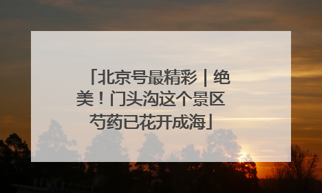 北京号最精彩｜绝美！门头沟这个景区芍药已花开成海