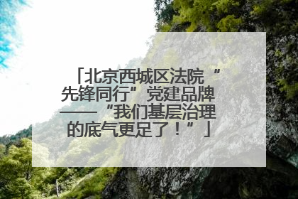 北京西城区法院“先锋同行”党建品牌——“我们基层治理的底气更足了！”