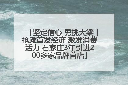 坚定信心 勇挑大梁丨抢滩首发经济 激发消费活力 石家庄3年引进200多家品牌首店