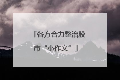 各方合力整治股市“小作文”