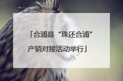 合浦县“珠还合浦”产销对接活动举行