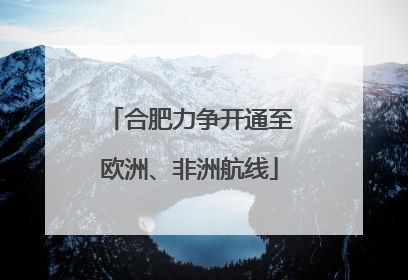 合肥力争开通至欧洲、非洲航线