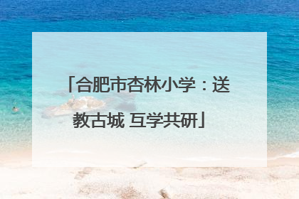 合肥市杏林小学：送教古城 互学共研