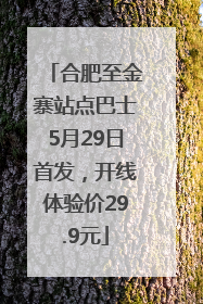 合肥至金寨站点巴士5月29日首发，开线体验价29.9元