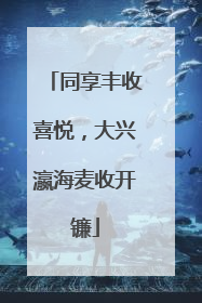 同享丰收喜悦，大兴瀛海麦收开镰