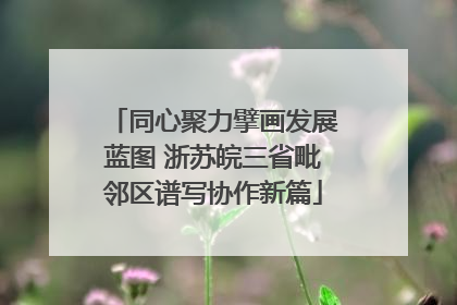同心聚力擘画发展蓝图 浙苏皖三省毗邻区谱写协作新篇