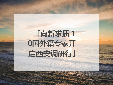 向新求质 10国外籍专家开启西安调研行
