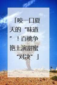 咬一口夏天的“味道”！百桃争艳上演甜蜜“对决”
