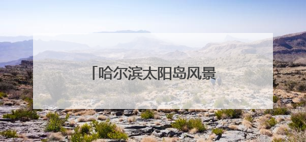 哈尔滨太阳岛风景区添新景迎端午