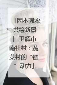 固本强农 共绘新景 ︳卫辉市南社村：蔬菜村的“链”动力