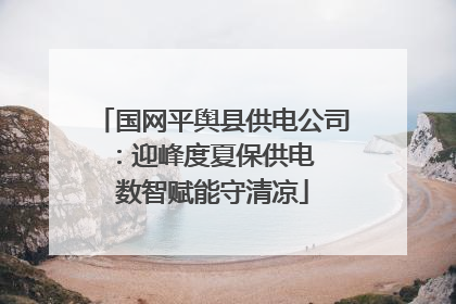 国网平舆县供电公司：迎峰度夏保供电  数智赋能守清凉