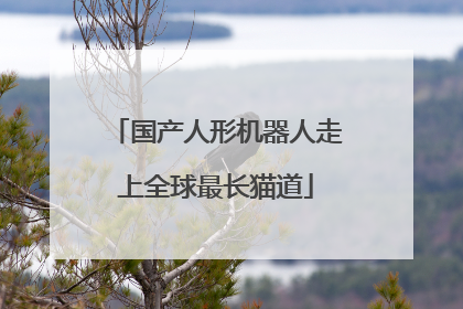 国产人形机器人走上全球最长猫道