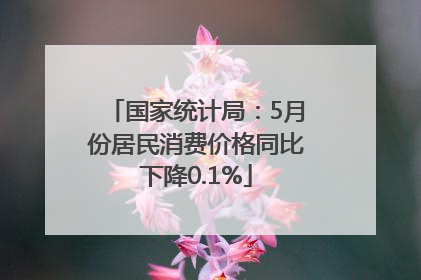 国家统计局：5月份居民消费价格同比下降0.1%