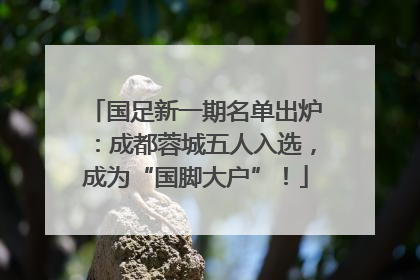 国足新一期名单出炉：成都蓉城五人入选，成为“国脚大户”！