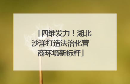四维发力！湖北沙洋打造法治化营商环境新标杆
