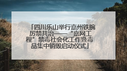 四川乐山举行嘉州铁腕 厉禁共治——“嘉网工程”禁毒社会化工作暨毒品集中销毁启动仪式