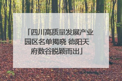 四川高质量发展产业园区名单揭晓 德阳天府数谷脱颖而出