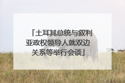 土耳其总统与叙利亚政权领导人就双边关系等举行会谈