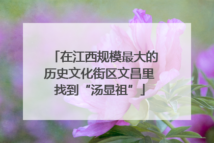 在江西规模最大的历史文化街区文昌里找到“汤显祖”