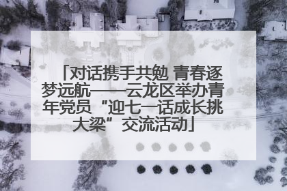 对话携手共勉 青春逐梦远航——云龙区举办青年党员“迎七一话成长挑大梁”交流活动