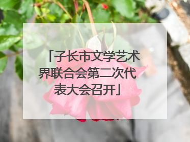 子长市文学艺术界联合会第二次代表大会召开