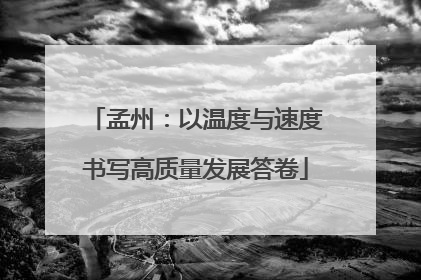 孟州：以温度与速度书写高质量发展答卷