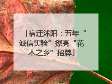 宿迁沭阳：五年“诚信实验”擦亮“花木之乡”招牌