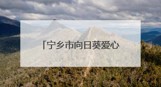 宁乡市向日葵爱心会：十年助学让近三百名学子圆梦大学