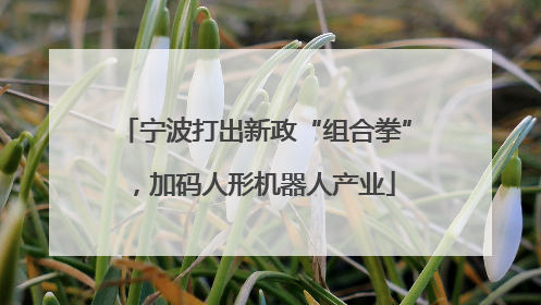 宁波打出新政“组合拳”，加码人形机器人产业