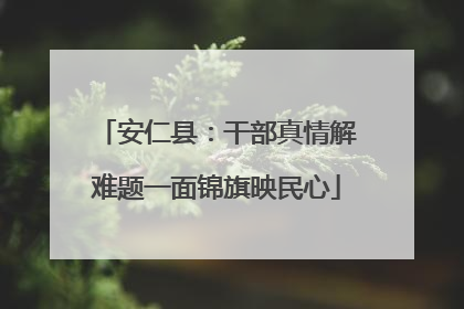 安仁县：干部真情解难题一面锦旗映民心
