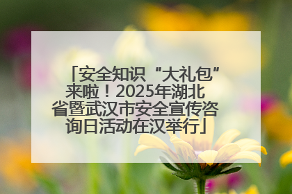 安全知识“大礼包”来啦！2025年湖北省暨武汉市安全宣传咨询日活动在汉举行
