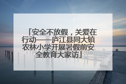 安全不放假，关爱在行动——庐江县同大镇农林小学开展暑假前安全教育大家访