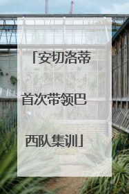 安切洛蒂首次带领巴西队集训