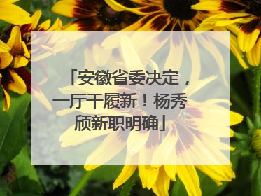安徽省委决定，一厅干履新！杨秀颀新职明确