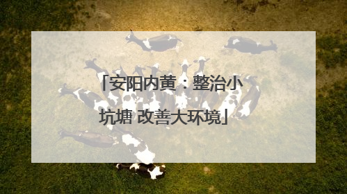安阳内黄：整治小坑塘 改善大环境