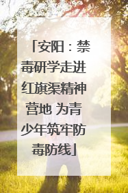 安阳：禁毒研学走进红旗渠精神营地 为青少年筑牢防毒防线