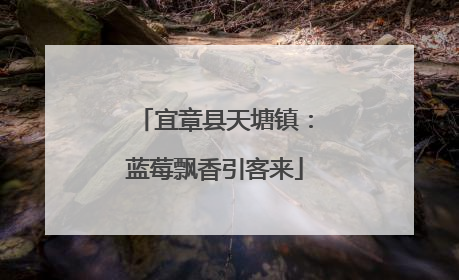 宜章县天塘镇：蓝莓飘香引客来