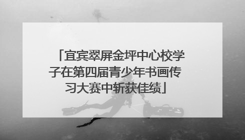 宜宾翠屏金坪中心校学子在第四届青少年书画传习大赛中斩获佳绩