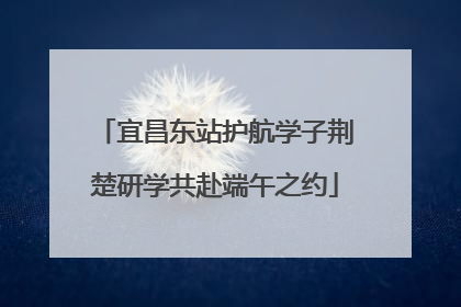 宜昌东站护航学子荆楚研学共赴端午之约