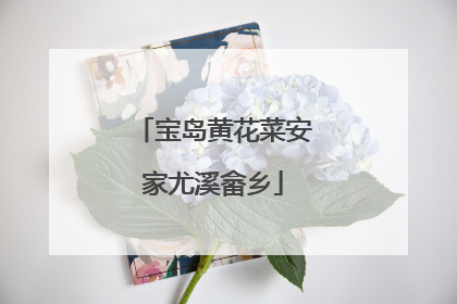 宝岛黄花菜安家尤溪畲乡