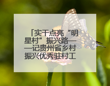 实干点亮“明星村”振兴路——记贵州省乡村振兴优秀驻村工作队员王培欢