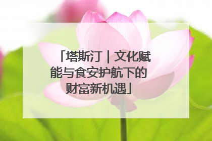 塔斯汀｜文化赋能与食安护航下的财富新机遇