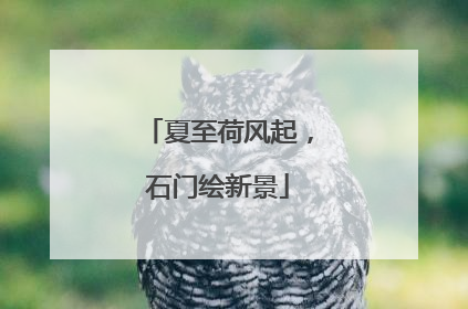 夏至荷风起，石门绘新景