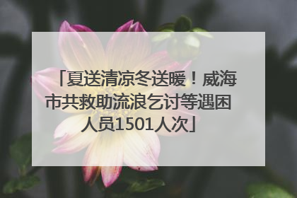 夏送清凉冬送暖！威海市共救助流浪乞讨等遇困人员1501人次