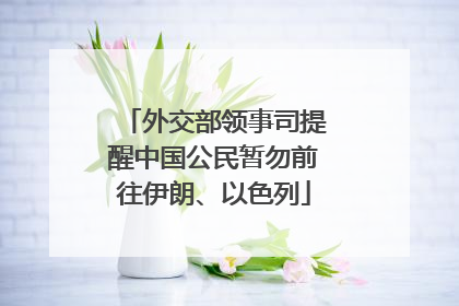 外交部领事司提醒中国公民暂勿前往伊朗、以色列
